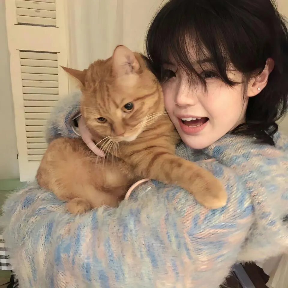 美日警匪战东京