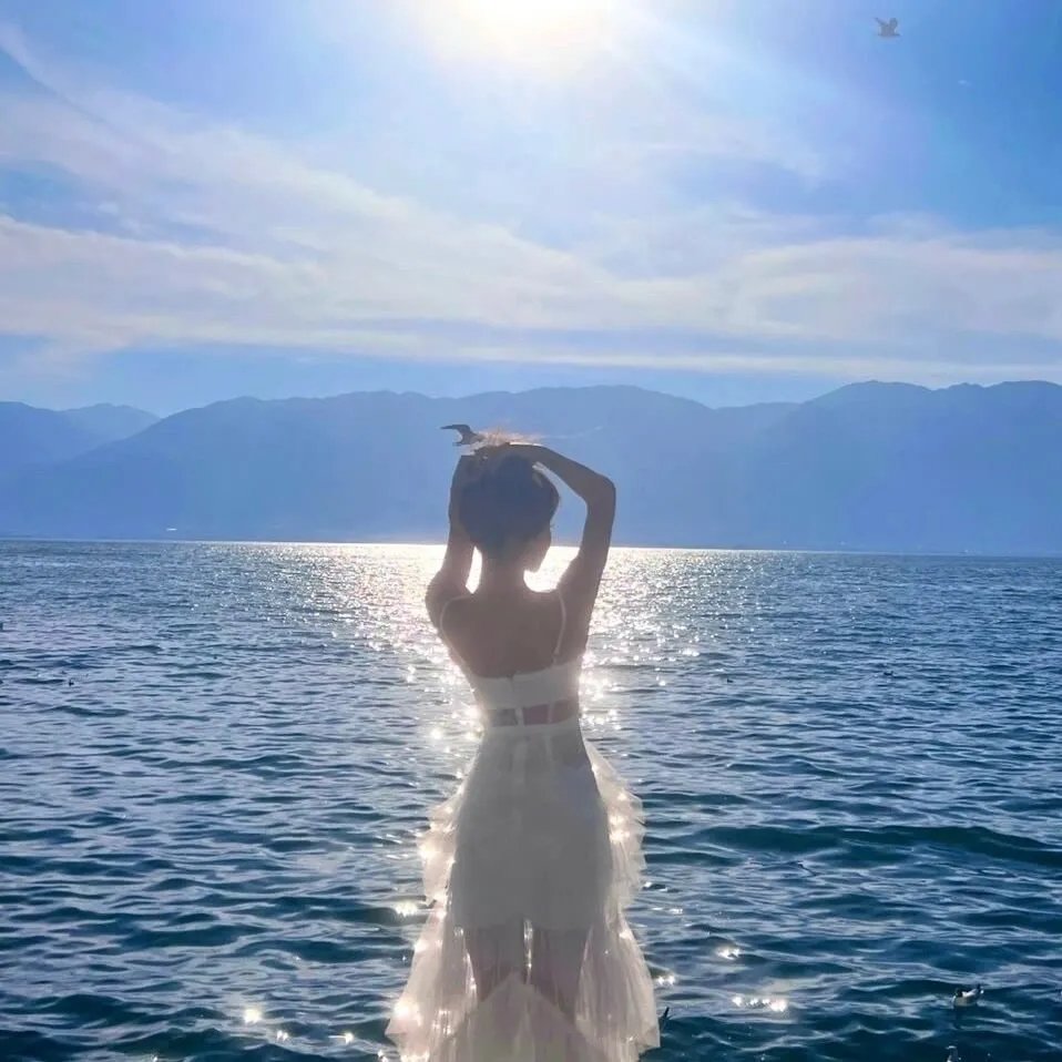 闪亮，闪亮，我的星辰